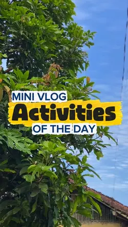 ACTIVITIES 1 MINUTE