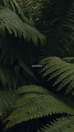 nature, therapy