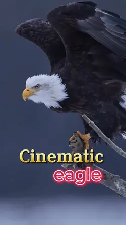 Cinematic eagle