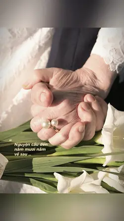 Lyrics + Màu