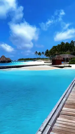 5 videos or photos 