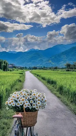 Awan begerak