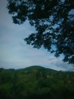 မွန်မြတ်ချင်း