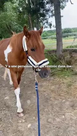Mon coco 🫶🏻