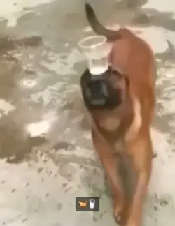 Bu video tutarsa..