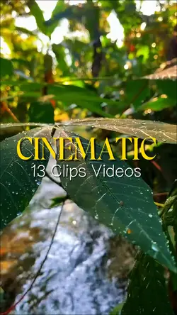 13 CLIPS VIDEOS