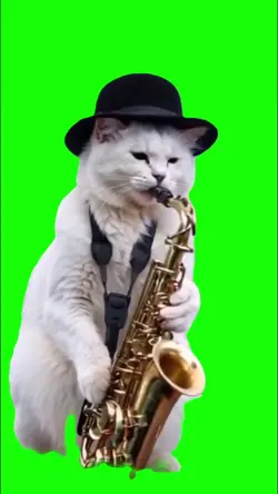 Cat saxophon templat