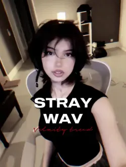 stray wav