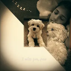 I miss you,paw