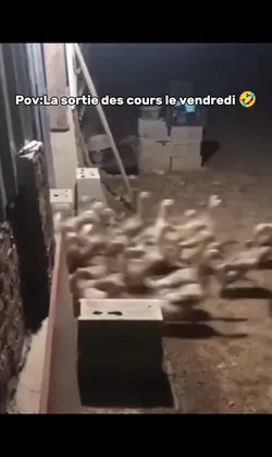 Pov:Le vendredi 