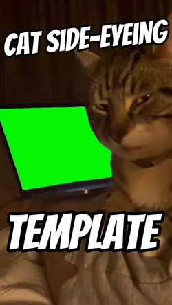 Cat Side-Eyeing
