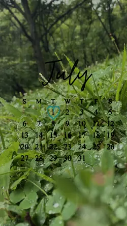 Hi July 2025