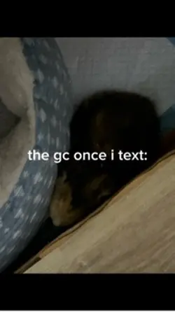 the gc once i text