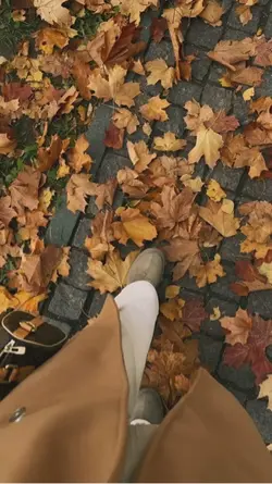 Autumn vibes