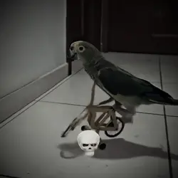 Edit