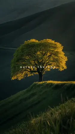Nature therapy