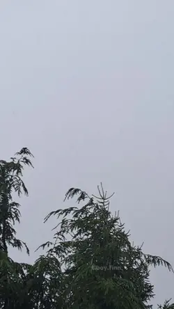rain>>