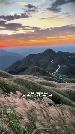 Tả tơi nhiều rồi tự