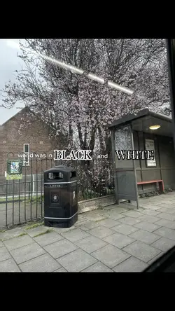 black and whit
