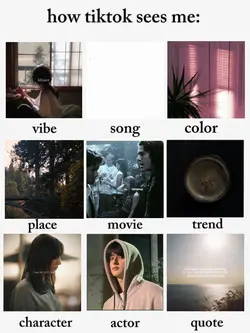 how tiktok sees me