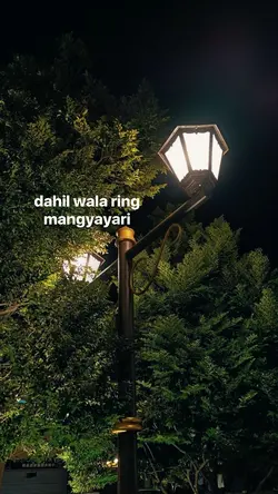 Lyric Trend