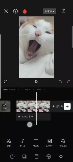 갈라지는 원파동 강좌