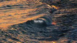 Bye Ariana Grande