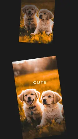 DOG TEMPLATE