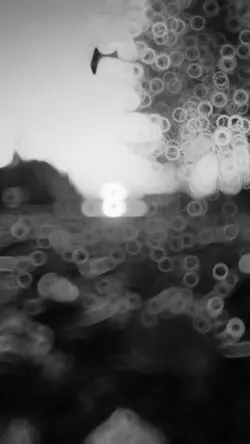 SlowMo 