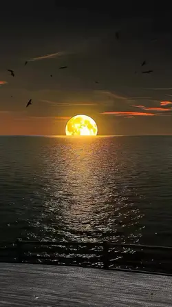 BEAUTIFUL WORLD 