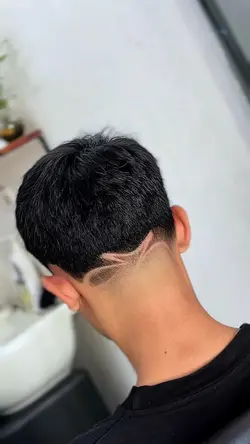 6 clip video Hd