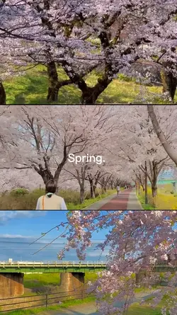 spring