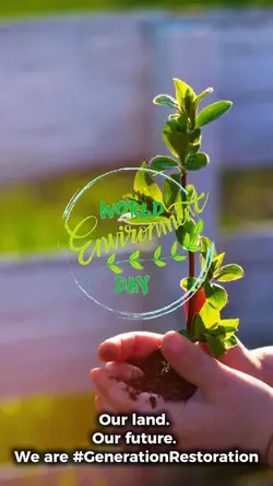 World Environment