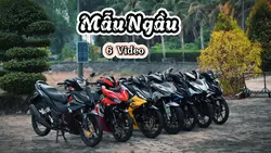 Mẫu Xe 