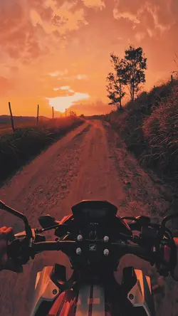 Minha terapia 