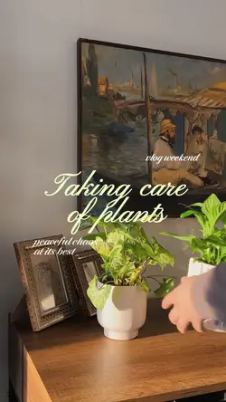 Plants Vlog