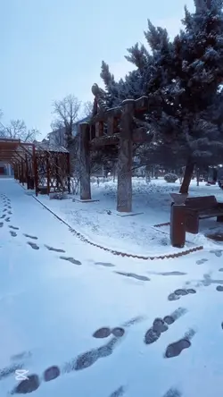 Snowing 