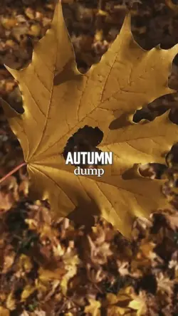autumn dump