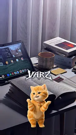 KUCING VELOCITY