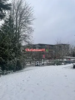 IT SNOWED