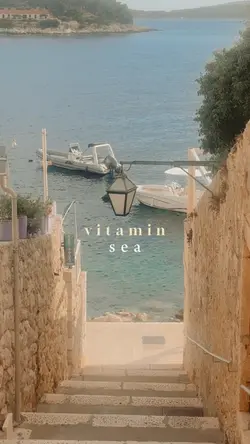 Vitamin sea trend