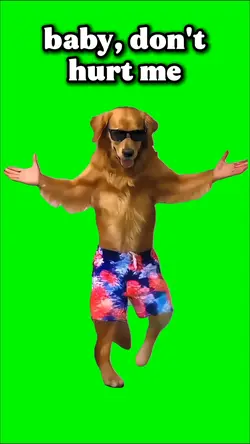 DANCING DOG