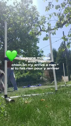 épargne moi tes..