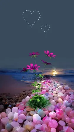 Flowers at the beach