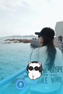 Dj cat