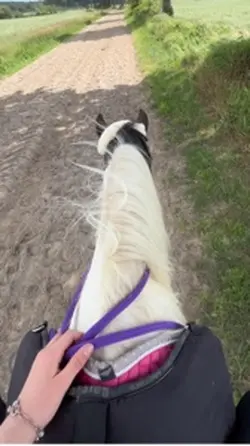 Fetzen 