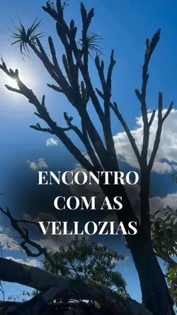 Caminhos