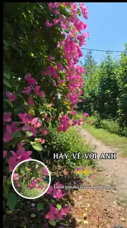 Hãy về với anh
