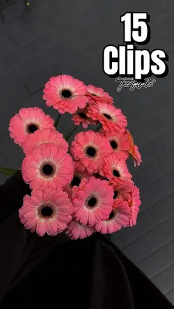 15 Clips template 