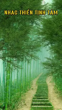 Nhạc Thiền Tịnh Tâm